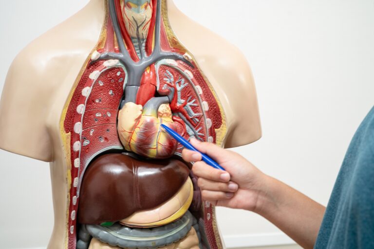 10-Things-to-Do-Every-Day-to-Keep-Your-Heart-Healthy-One-Health-Assist
