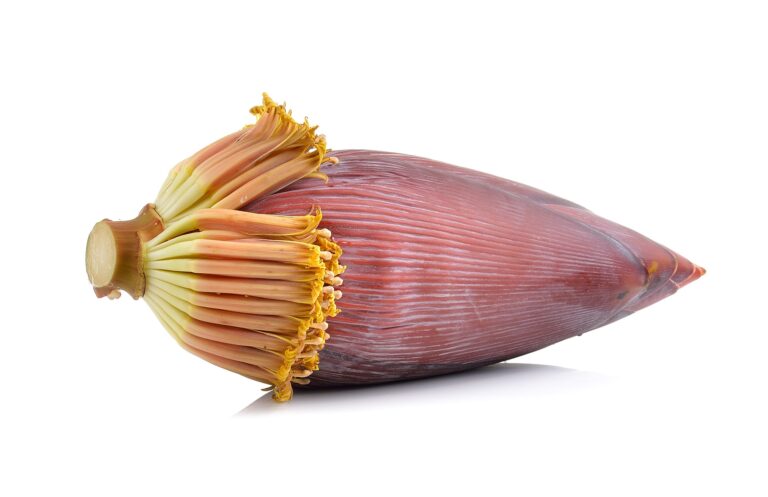 Banana-Flower-Health-Benefits-Nutrition-Facts-Potential-Side-Effects-and-Uses-One-Health-Assist