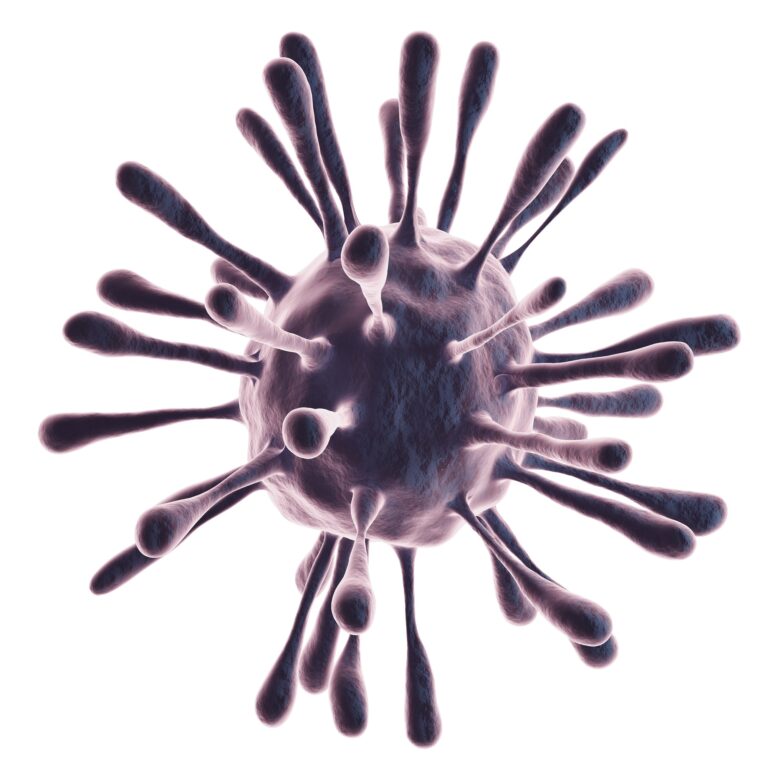 Chandipura Virus: Symptoms, Precautions, Testing, and Home Sample Collection by One Heealth Assist