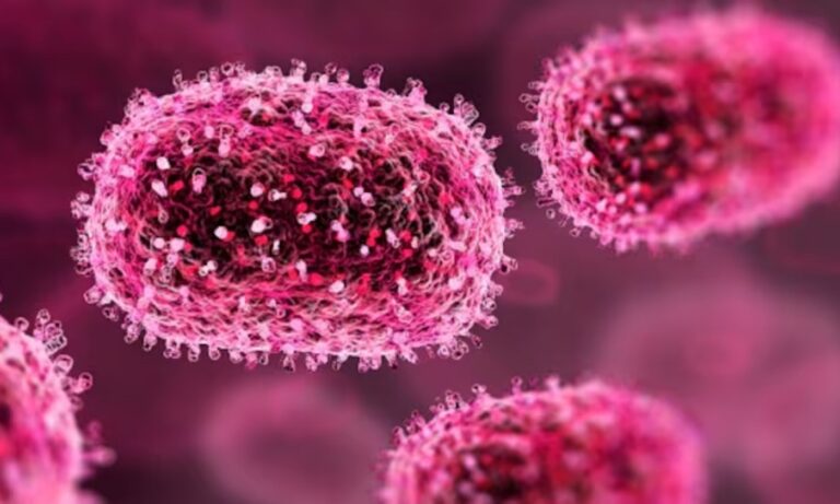 Chandipura Virus,Chandipura Vesiculovirus (CHPV), A Comprehensive Guide by One Heealth Assist