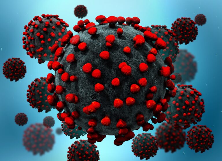 Difference Between COVID-19 IgG antibody and COVID-19 Diagnostic Test, www.onehealthassist.com