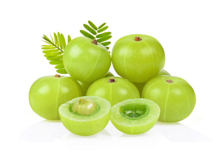Indian-Gooseberry-Amla-Health-Benefits-Uses-and-Potential-Side-Effects-One-Health-Assist