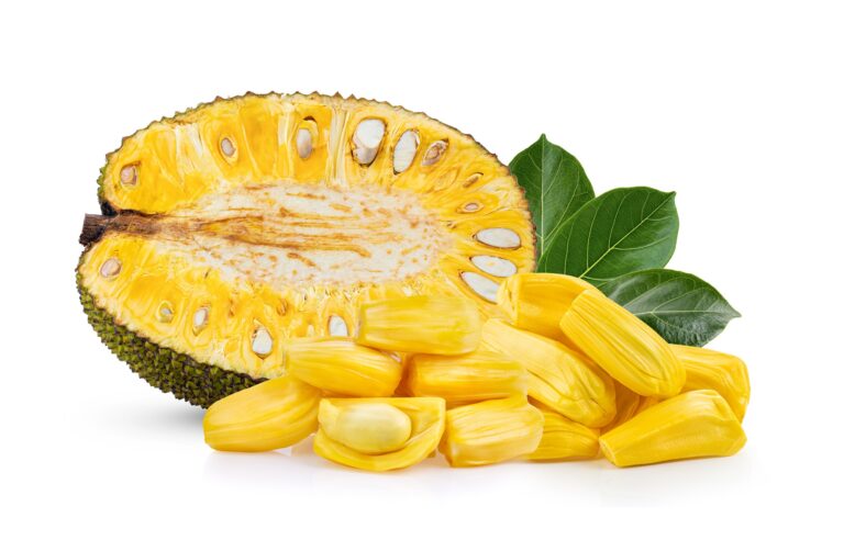 Jackfruit-Fruit-Health-Benefits-Nutrition-Facts-Potential-Side-Effects-and-Uses-One-Health-Assist