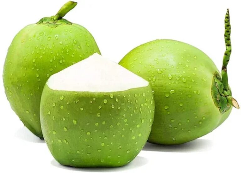 Tender-Coconut-Health-Benefits-Nutrition-Facts-Uses-and-Potential-Side-Effects-One-Health-Assist