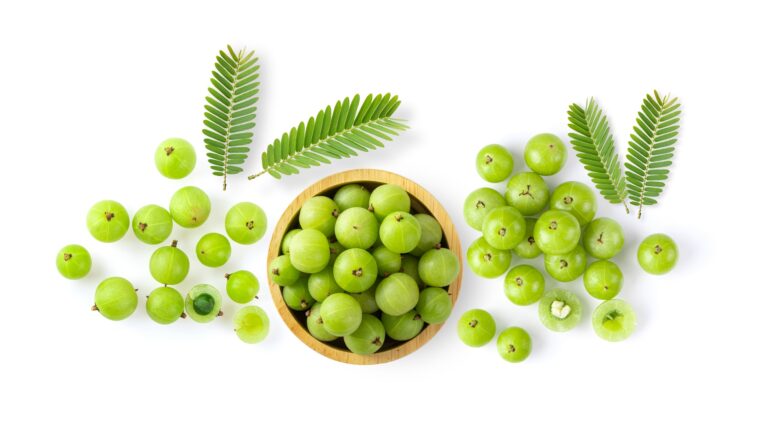 Amla (Indian gooseberry): The Ayurvedic Elixir for Radiant Health Amla (Indian gooseberry) The Ayurvedic Elixir for Radiant Health