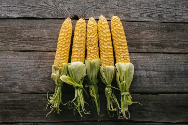 Sweet Corn: The Nutritional Powerhouse That’s More Than Just a Summer Treat Sweet Corn The Nutritional Powerhouse That's More Than Just a Summer Treat