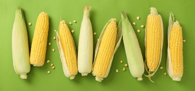 Is Sweet (Baby) Corn Hot or Cold for the Body, onehealthassist.com